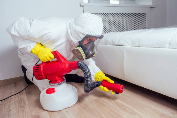 Best Local Pest Control Services  in West Bradenton, FL